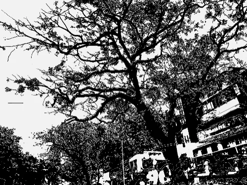 Description1