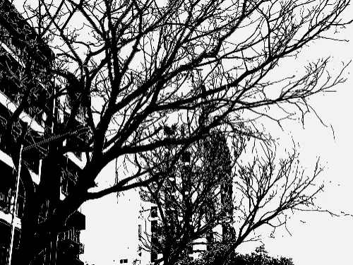 Description1